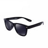 Explorer Polarized Sunglasses