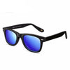 Explorer Polarized Sunglasses