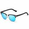 Visionary Polarized Sunglasses