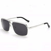 Canvas Polarized Sunglasses